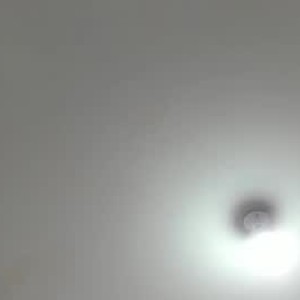 amateursex-livecam.com _alana_precius livesex profile in curvy cams