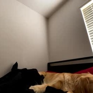Cam boy achtung702
