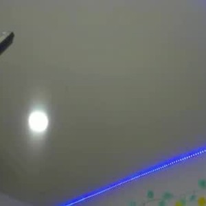 livesex.fan alana_collinss livesex profile in lovense cams