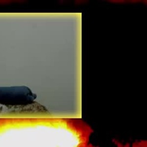 chaturbate alexamona webcam profile pic via amateursex-livecam.com