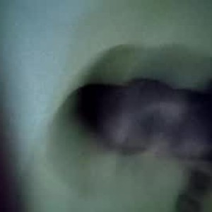 Cam boy alixporno