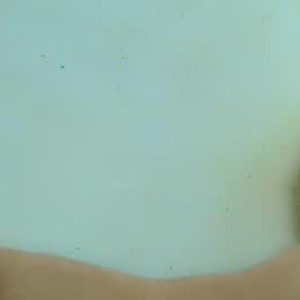 chaturbate anicawildsexcum69 webcam profile pic via badgirlwebcam.com
