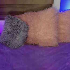 chaturbate anval_goddess webcam profile pic via bestlivesexchat.com