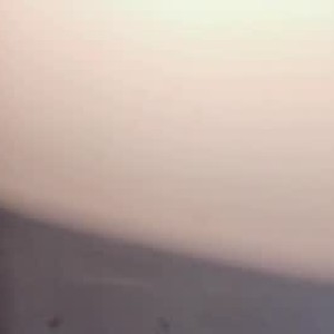 livesex.fan arianabrowwn livesex profile in smal cams