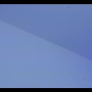 chaturbate bella_hilton_1 webcam profile pic via sexlivecamsites.com