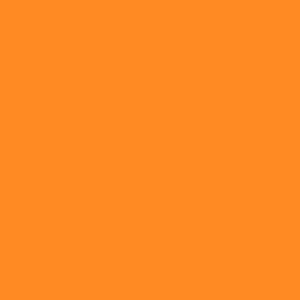 Cam boy bfb12