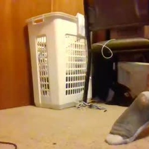 Cam boy bigdickmale0801