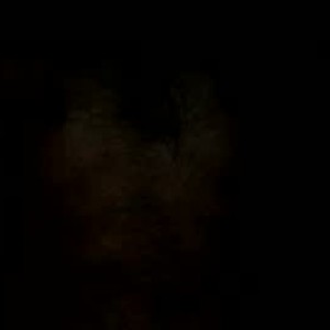 bigloadbrian69