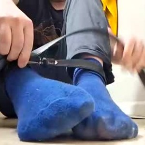 bozobehavior