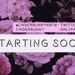 cinderbunny's profile picture