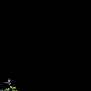chaturbate dany_soleil webcam profile pic via iluvcams.com