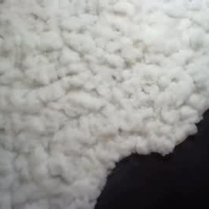 chaturbate daphneperez webcam profile pic via watchgirlcam.com