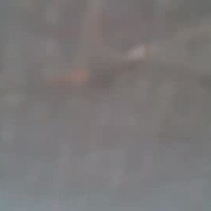 Cam boy ddpam