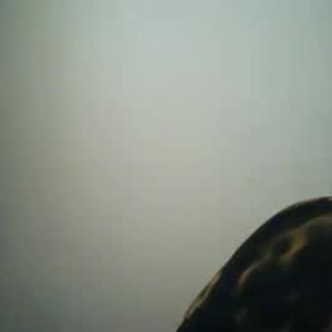 elivecams.com dela_cute01 livesex profile in cute cams