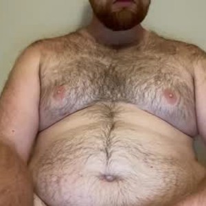 denalibear65
