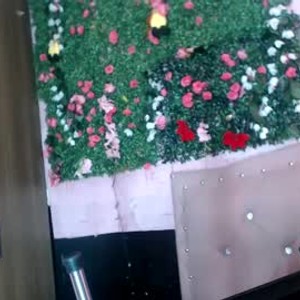 chaturbate dian52446 webcam profile pic via mega-camsex.com