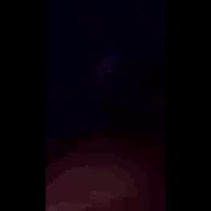 dlmartin607010
