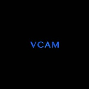 Cam boy dotado40hot
