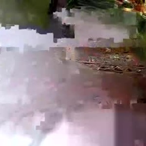 Cam boy dylanbass821