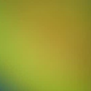 Cam boy elcangri6982
