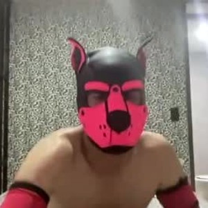 Cam boy elperroylagata