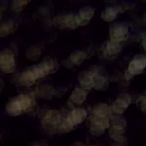 chaturbate eve_k webcam profile pic via 247camsex.com