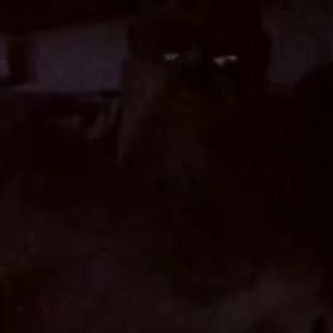 goatib