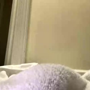 Cam boy gogobiboy