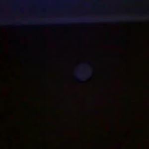 gregor_dom