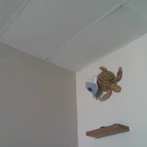 chaturbate harperxoxx webcam profile pic via amateursex-livecam.com