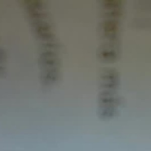 haste69