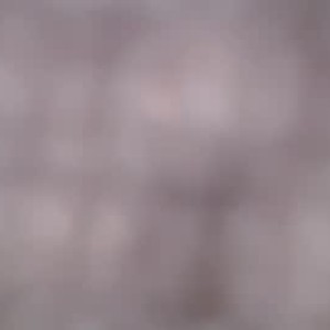 honey_boys1