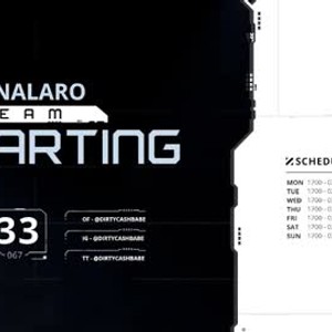 Cam boy itslanalaro