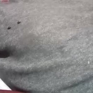 Cam boy jbszcuckrvyw