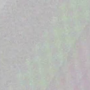 Cam boy jerksnsquirts