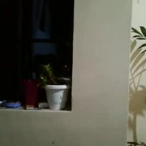 chaturbate kenphylis webcam profile pic via pornsexycams.com