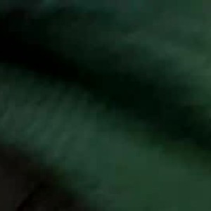 cheapadultsexcams.com latin__soul livesex profile in feet cams