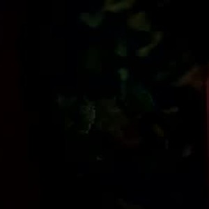 Cam boy lilbody1