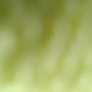 chaturbate lina_saar webcam profile pic via privat-livecam.com