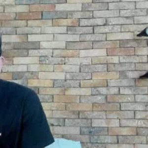 Cam boy lord_bridgerton_of
