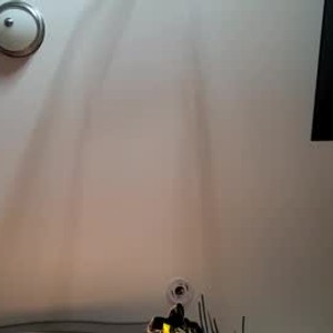 luckystieren