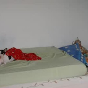 free6cams.com lunaandbellaa livesex profile in lesbian cams