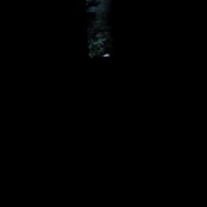 lustlover138