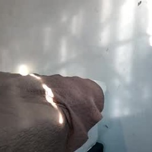 livesex.fan majahot333 livesex profile in ai cams