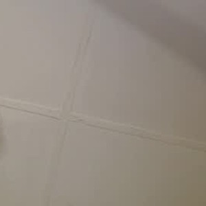 6livesex.com maryjane419 livesex profile in pet cams
