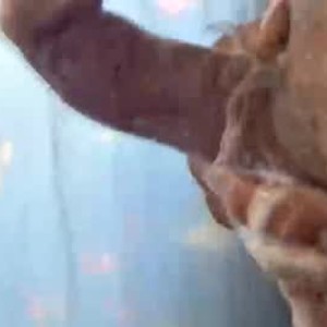 Cam boy mrb1970