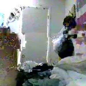Cam boy mrbiggs1077777
