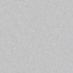mycocki1