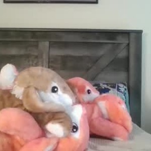 chaturbate nicholemariegonzales webcam profile pic via badgirlwebcam.com