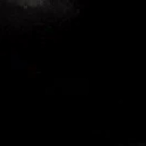 pigslave29